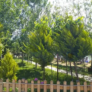 Oda ve Kahvaltı Deniz Kizi, Gümüldür